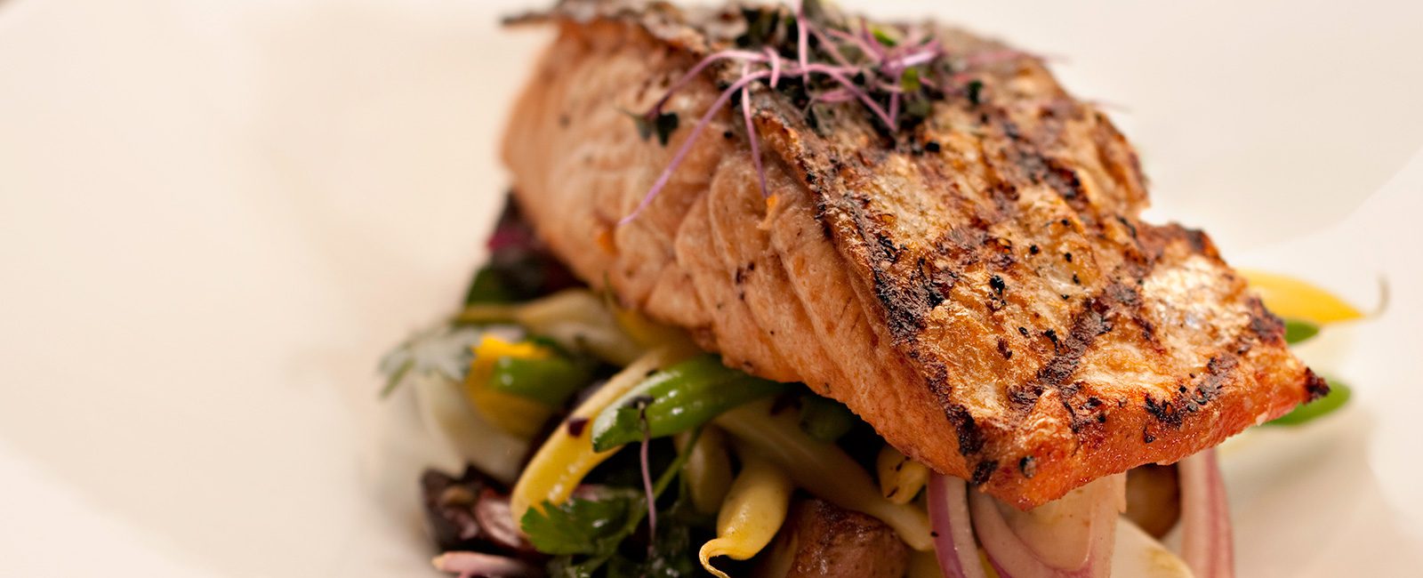 Sample presentation photograph of our salmon entree.