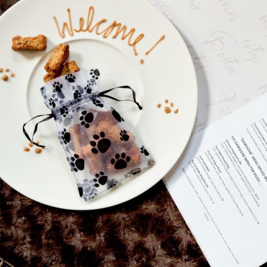 Sample of our dog welcome amenity featuring a secret peanut butter recipe that is human friendly and dog approved.