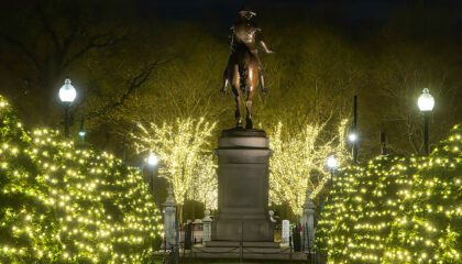 Holiday Lights in Boston Common