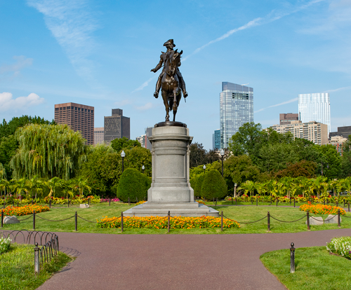 spring flowers blooming on the Boston Commons in Boston